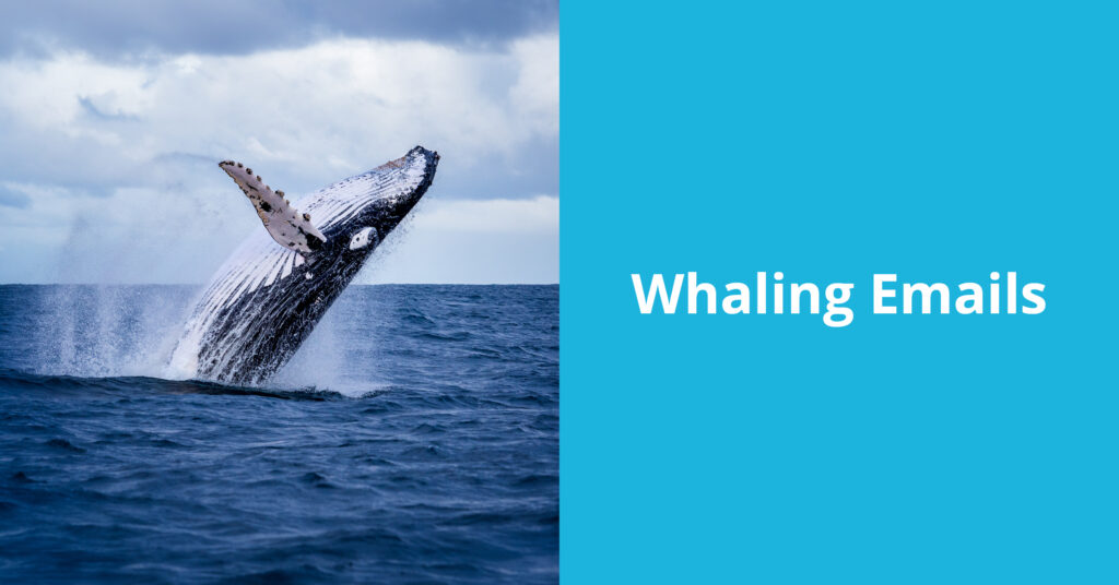 Whaling Email Scams